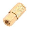 Totalturf Brass Air Coupler, 0.25 in. Female NPT x 0.25 in. I&M TO1676987